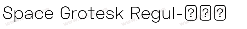 Space Grotesk Regul字体转换